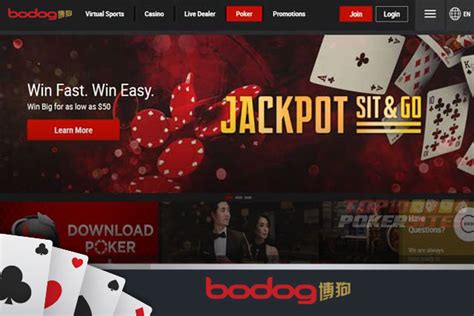 bodog88|Bodog88 Poker — Asian Branch of PaiWangLuo Network (2024 .